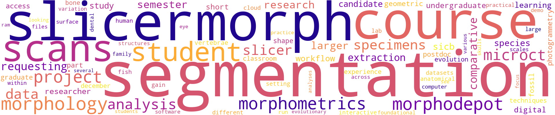 Word cloud of common MorphoCloud uses